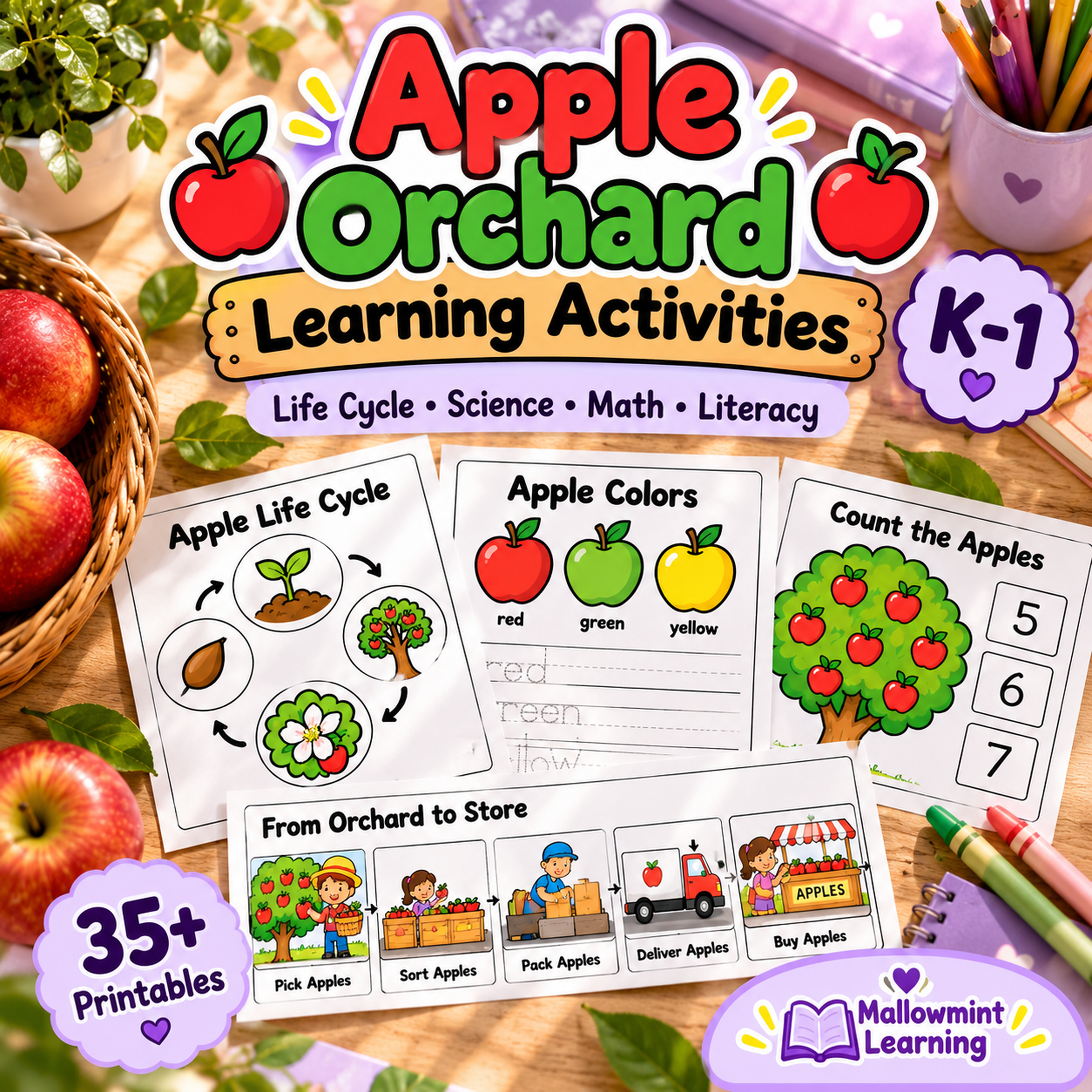 Apple Activities for Kindergarten & 1st Grade | Apple Life Cycle, Math & Literacy Worksheets